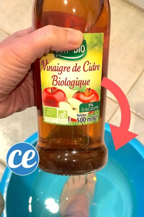 Pourquoi Mettre Du Vinaigre Dans L Eau Des Poules Communaut Mcms Hot Sex Picture