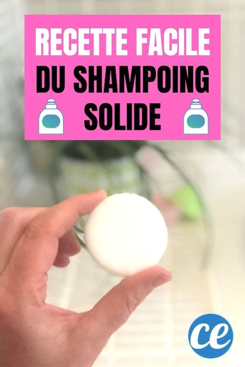 Enfin Une Recette de Shampoing Solide Facile Rapide à Faire