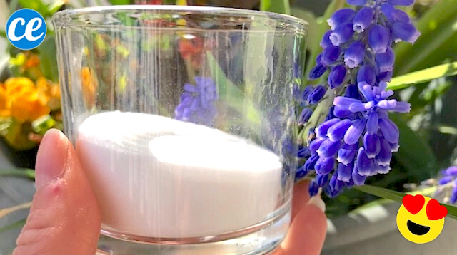 Comment Fabriquer Son Déodorant 100 Naturel En 1 Min Chrono