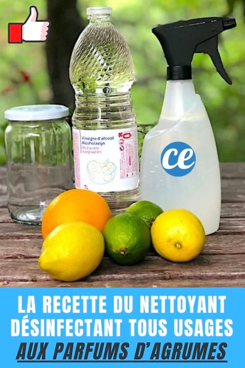 La Recette du Nettoyant Désinfectant Tous Usages Aux Parfums dAgrumes