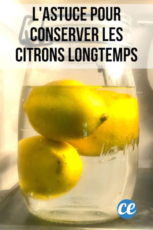 L Astuce Secr Te Pour Conserver Les Citrons Frais Beaucoup Plus Longtemps