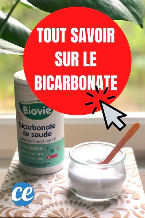 Le Guide Pratique Et Gratuit Du Bicarbonate De Soude