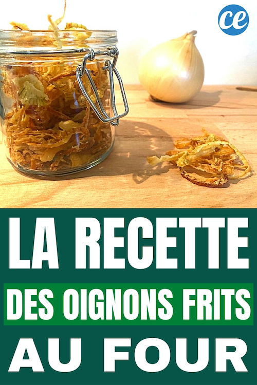 Faites Vous M Me Vos Oignons Frits Croustillants Et Naturels