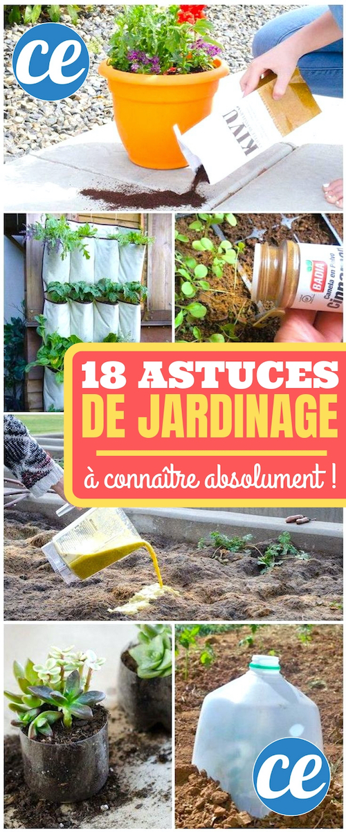 18 Astuces De Jardinage Qui Vont Vous Simplifier La Vie