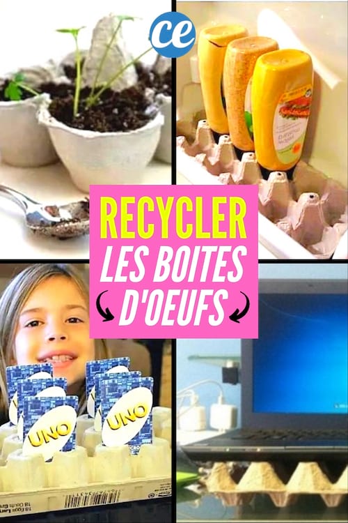 Ne Jetez Plus Vos Boites D Oeufs Id Es De G Nie Pour Les Recycler