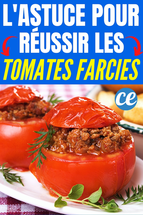 L Astuce Pour R Ussir Vos Tomates Farcies Et Viter Qu Elles Ne Soient