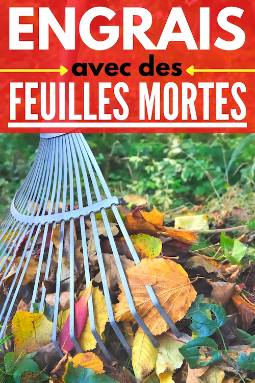 Comment Transformer Les Feuilles Mortes En Engrais Gratuit Pour Vos