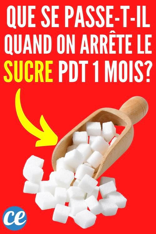 J ai Arrêté de Manger du Sucre Pendant 1 Mois Et Voici Ce Qu il S est