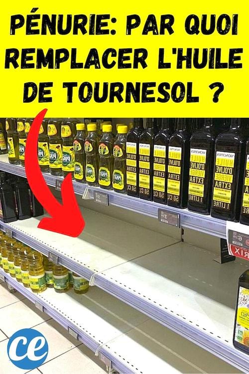 P Nurie Par Quoi Remplacer Lhuile De Tournesol Dans Vos Recettes The Best Porn Website