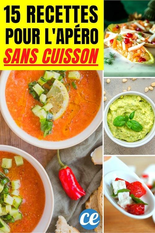 Ap Ro Dinatoire Recettes Sans Cuisson Super Faciles Faire