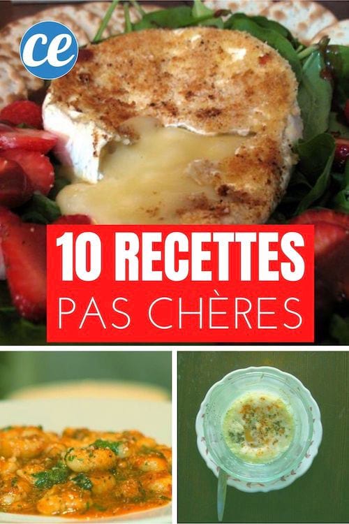 10 Recettes Faciles et pas Chères