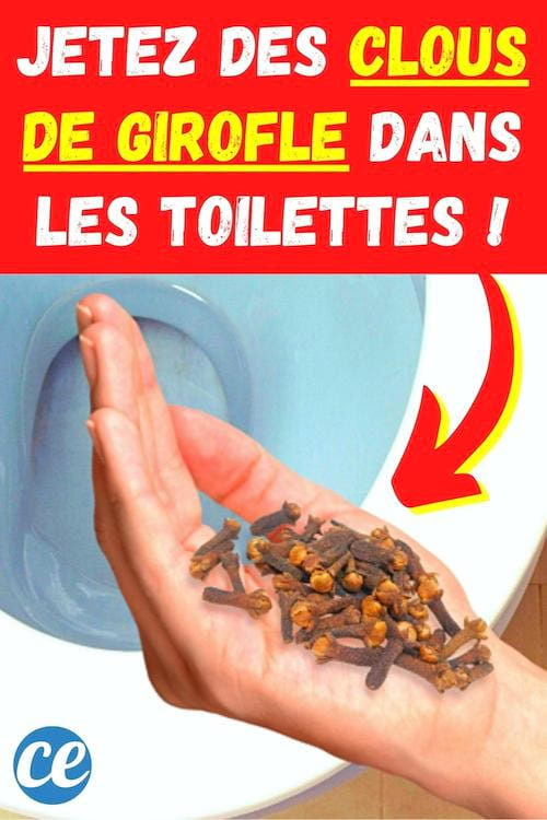 Jetez des Clous de Girofle Dans les WC Ça Résout un Souci Que Nous