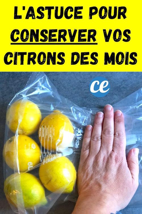 L Astuce Pour Conserver Vos Citrons Frais Pendant Mois Et Viter Qu Ils Pourrissent