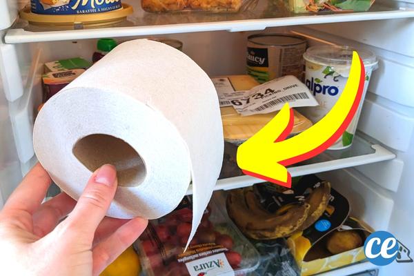 Pourquoi Est Il Rus De Mettre Un Rouleau De Papier Toilette Au Frigo