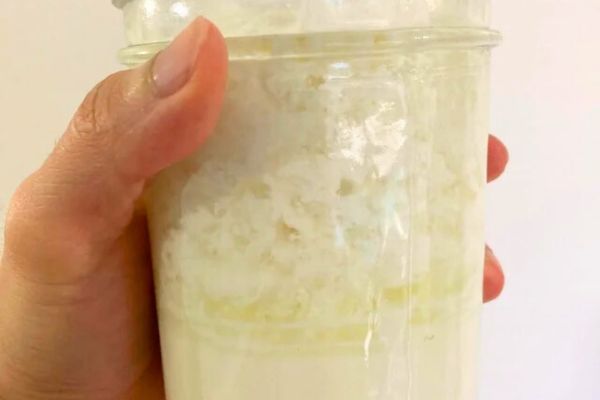 Comment Faire du Lait Caillé Maison La Recette Facile