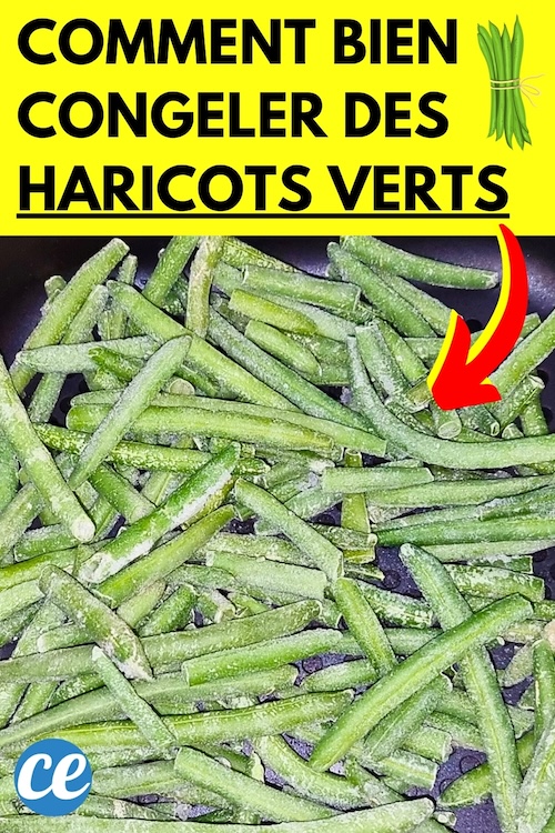 Comment Congeler Des Haricots Verts Pour En D Guster Toute L Ann E