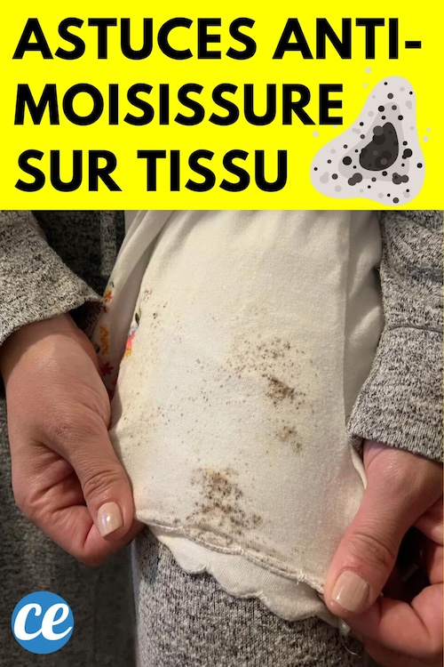 7 Astuces Pour Enlever Des Taches De Moisissure Sur Du Tissu