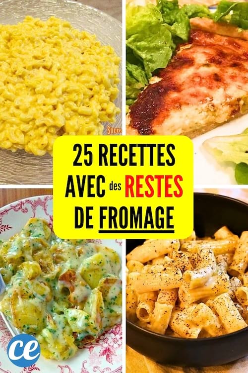 Que Faire Avec Des Restes De Fromage Recettes Anti Gaspi Faciles