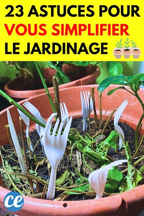 Astuces Ing Nieuses Pour Vous Simplifier Le Jardinage