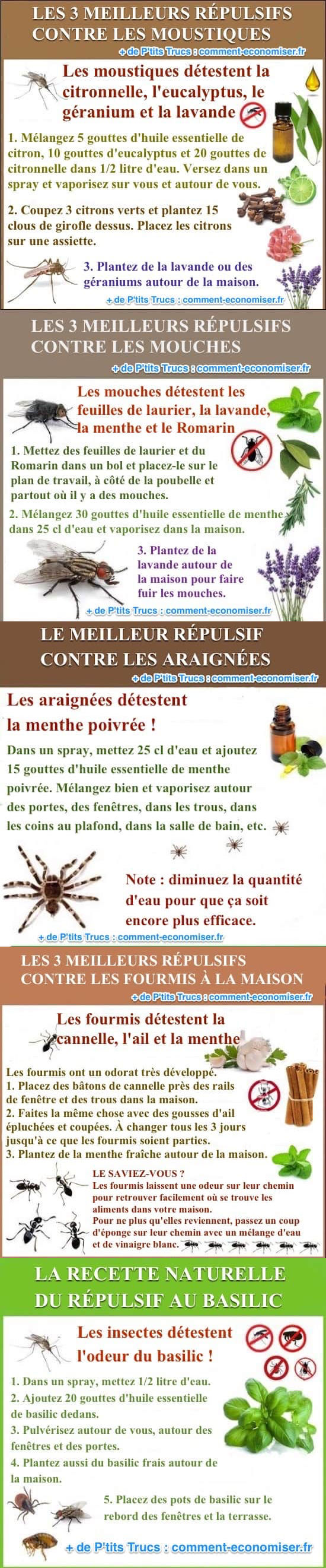 Les Meilleurs R Pulsifs Naturels Contre Tous Les Insectes 10716 Hot