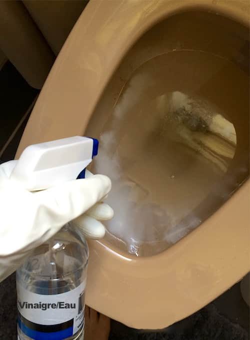 Asperger vinaigre et eau sur la cuvette des toilettes