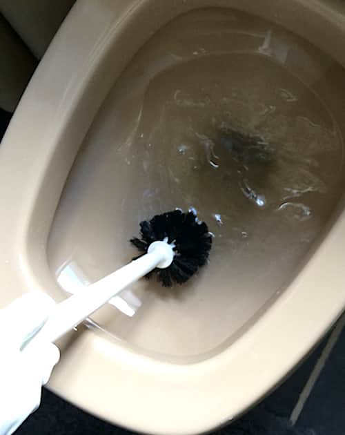 Utilisez une brosse pour frotter la cuvette des WC
