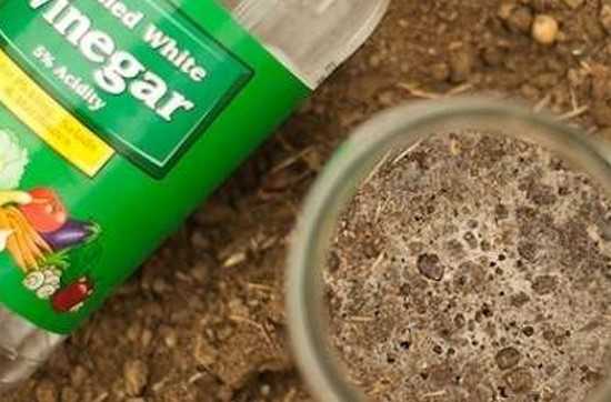 tester la terre avec du vinaigre