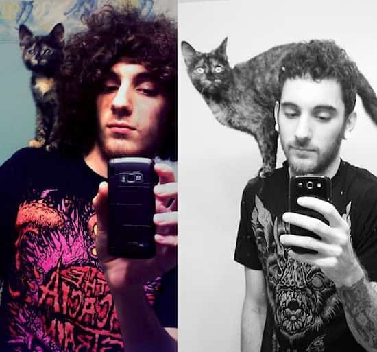 évolution chat et jeune garçon
