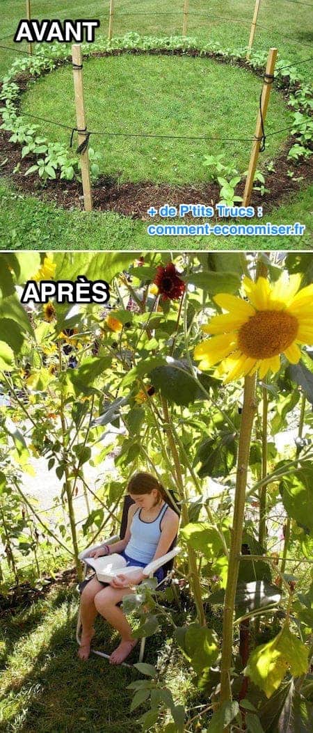 Une cabane pour enfants en tournesol.