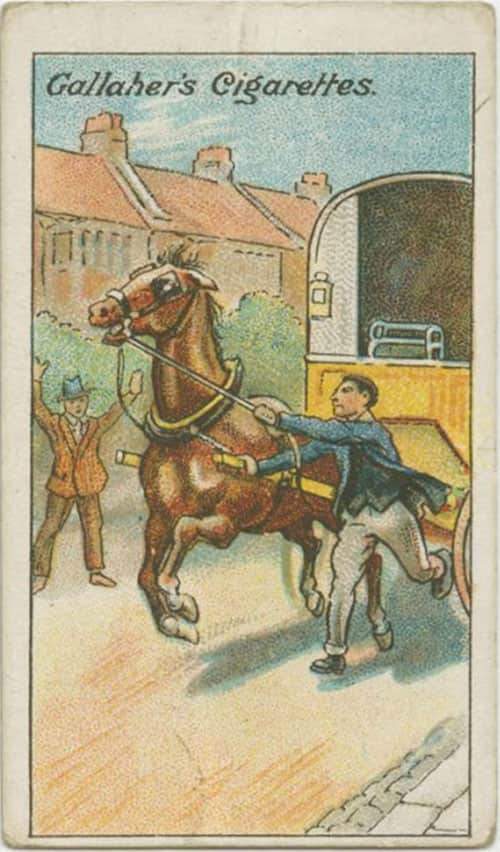 L'astuce d'autrefois qui marche encore aujourd'hui pour arrêter un cheval au galop.