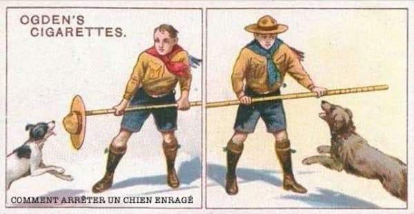L'astuce d'autrefois qui marche encore aujourd'hui pour arrêter un chien enragé.