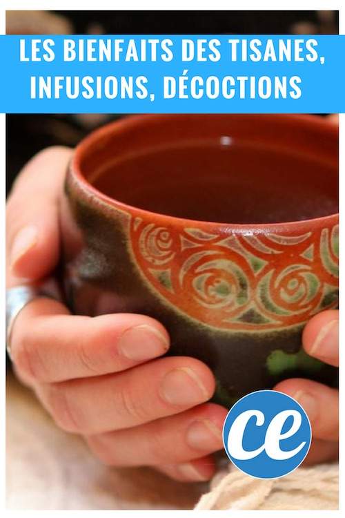 les différents bienfaits des tisanes des décoctions et des infusions