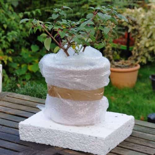 comment protéger plantes en pot du gel