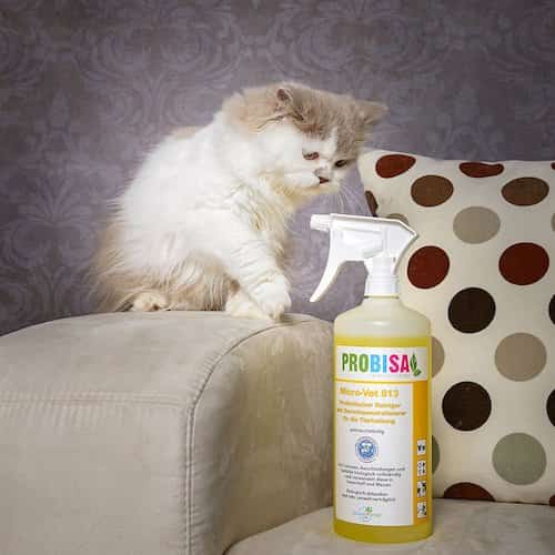 nettoyant naturel pour litière chat