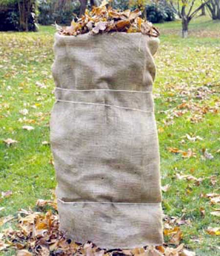 protection naturelle pour protéger rosier arbustes en hiver