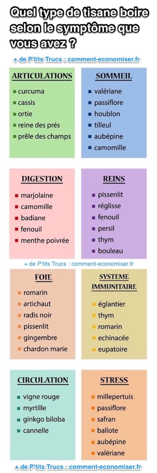 Tableau des tisanes et infusions selon symptômes que vous avez