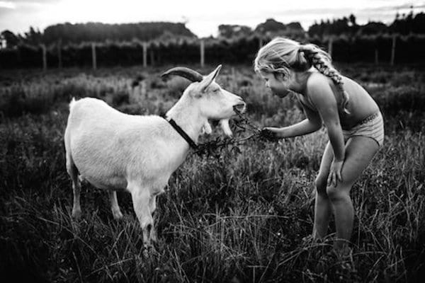 Nikki Boon prend sa fille en photo en train de jouer avec une chèvre