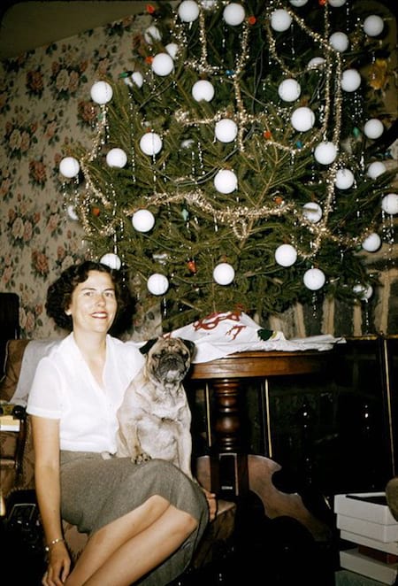 femme et chien sapin de noel