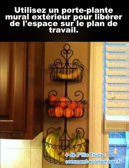un porte-plante mural est accroché dans la cuisine pour y mettre des fruits