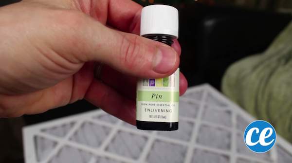 L’astuce de Noël pour faire un parfum d’ambiance Noël avec de l’huile essentielle de pin.