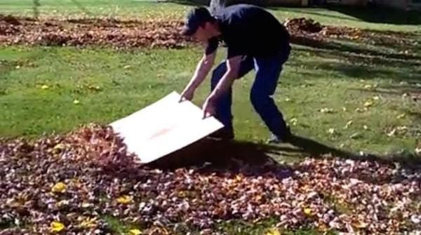 un grand morceau de carton permet de ramasser les feuilles plus facilement