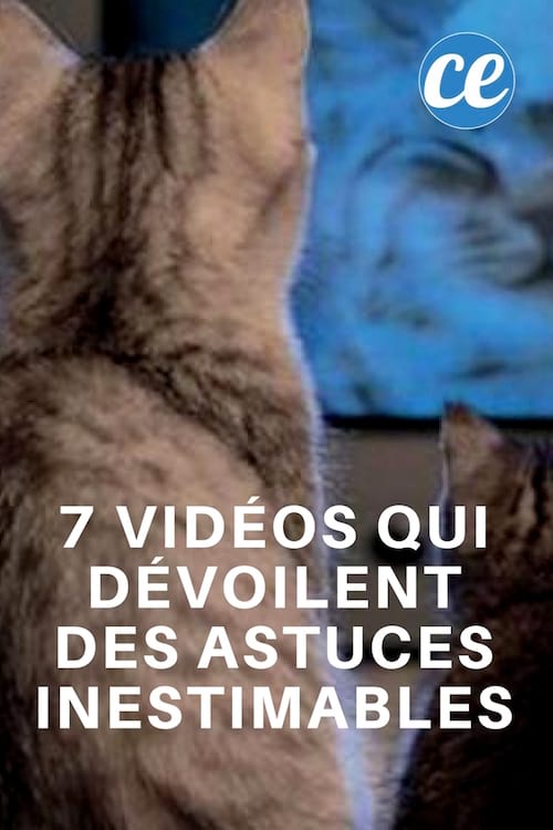 des astuces malignes expliquées en vidéos pour mieux comprendre