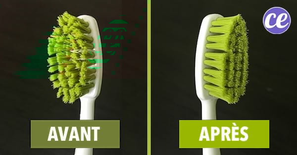 Voici l'astuce de grand-mère pour rendre comme neuve une vieille brosse à dents.