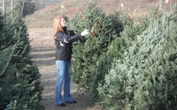 une femme choisit un sapin pour Noël