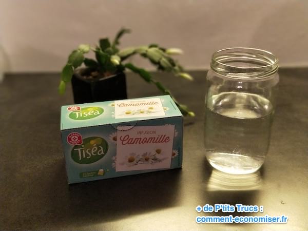 tisane de camomille contre mal de gorge