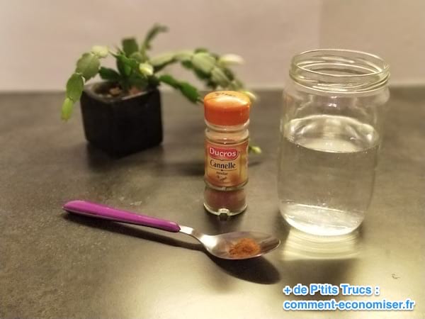 tisane cannelle contre mal gorge