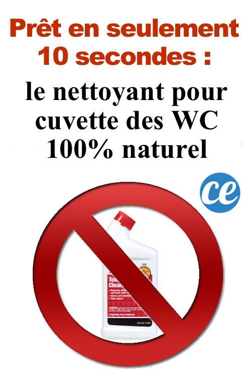La recette du nettoyant pour la cuvette des WC 100% naturelle