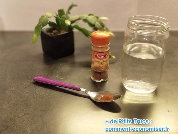 piment de cayenne pour soulager mal de gorge