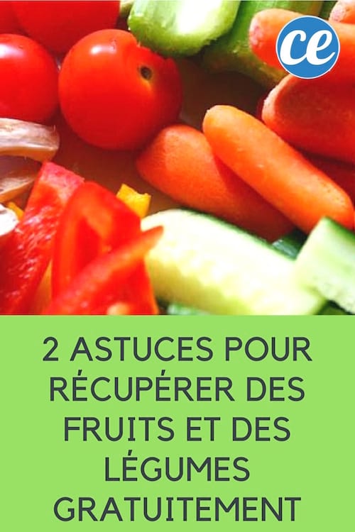 2 astuces pour récupérer des fruits et des légumes gartuitement