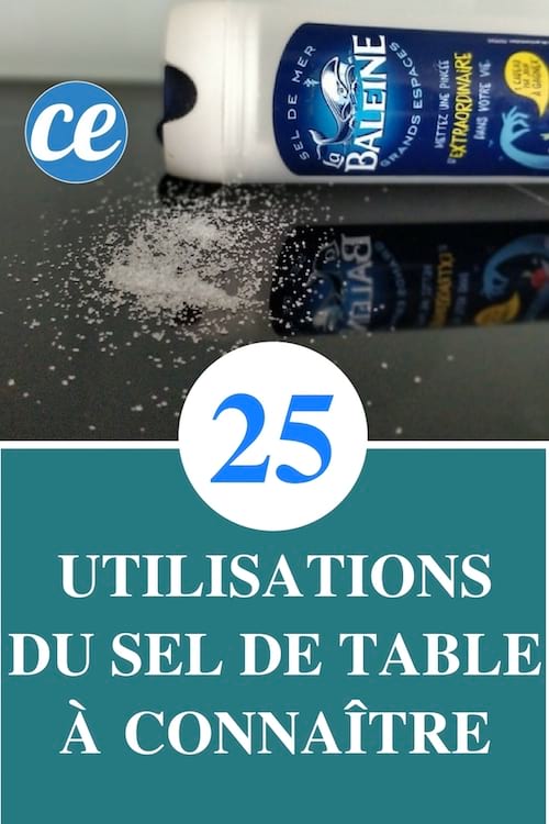25 utilisations du sel de table que personne ne connait
